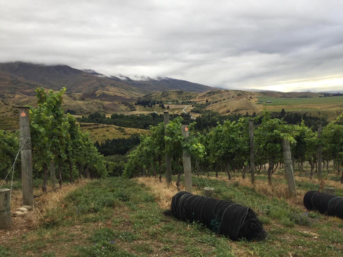 Rose Creek Cromwell